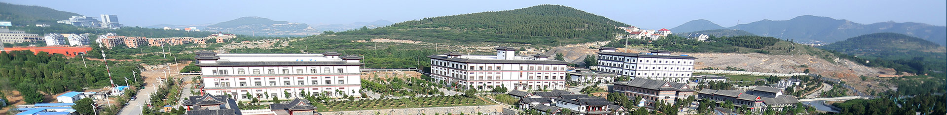 广发在线（中国）资讯